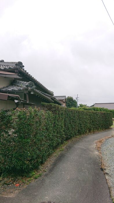ブログ画像