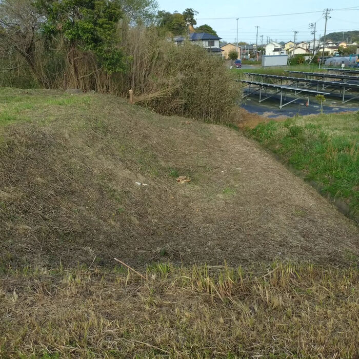 ブログ画像