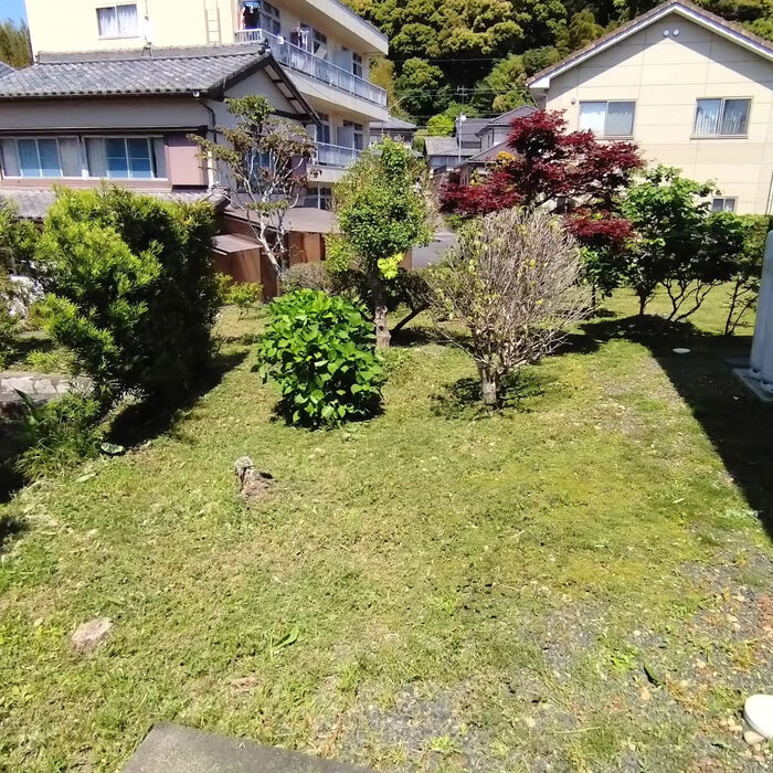 ブログ画像