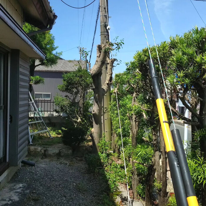 ブログ画像