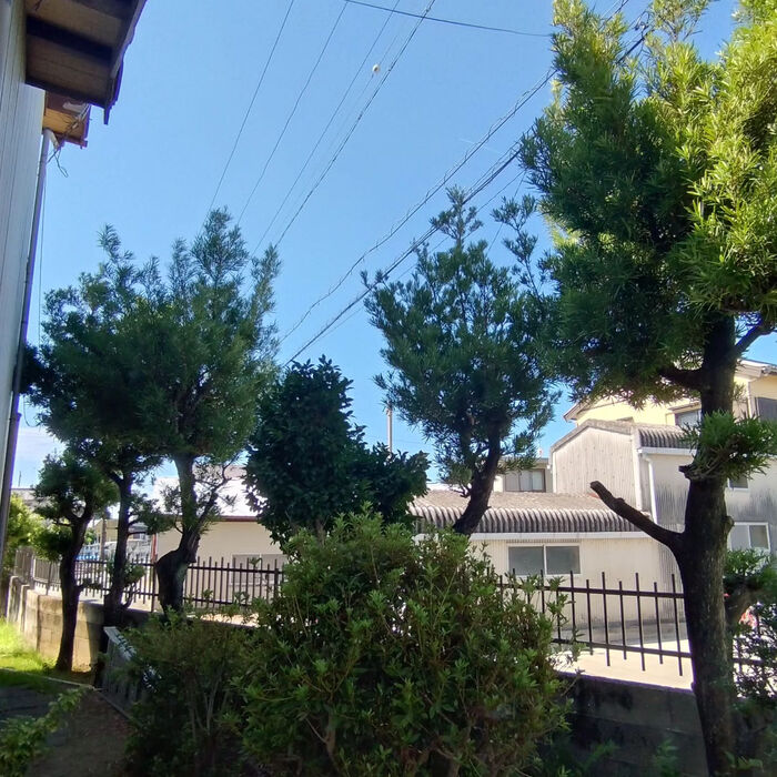 ブログ画像
