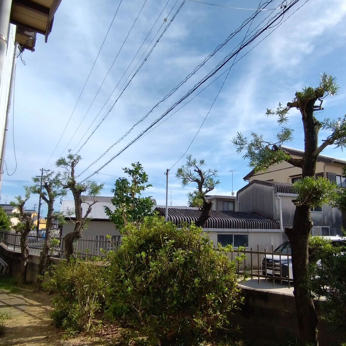 ブログ画像