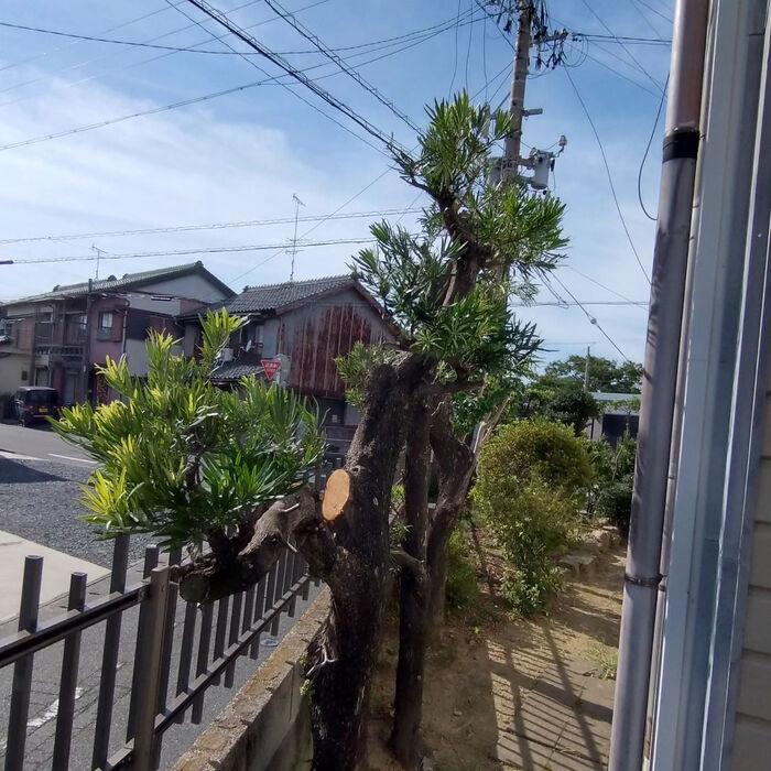 ブログ画像