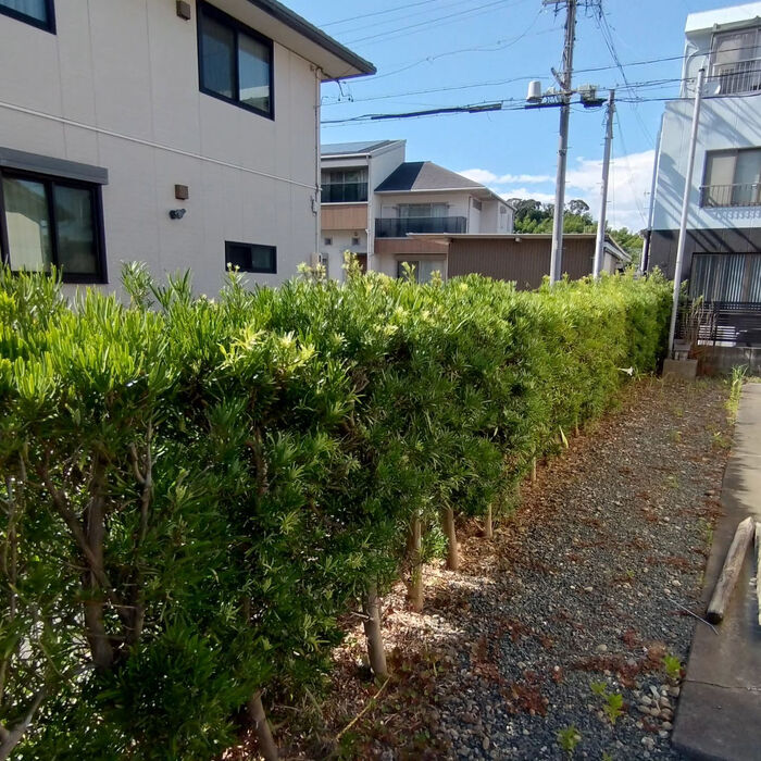 ブログ画像