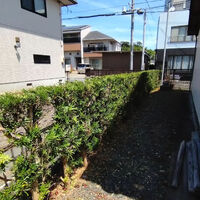 ブログ画像