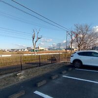 画像2280：静岡県浜松市でスズメバチの巣の撤去作業です。