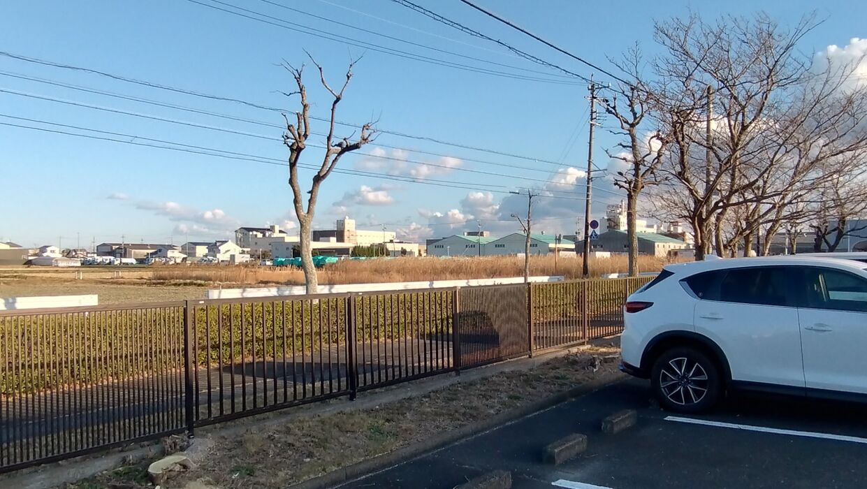 画像2280：静岡県浜松市でスズメバチの巣の撤去作業です。