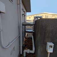画像2282：静岡県浜松市でスズメバチの巣の撤去作業です。