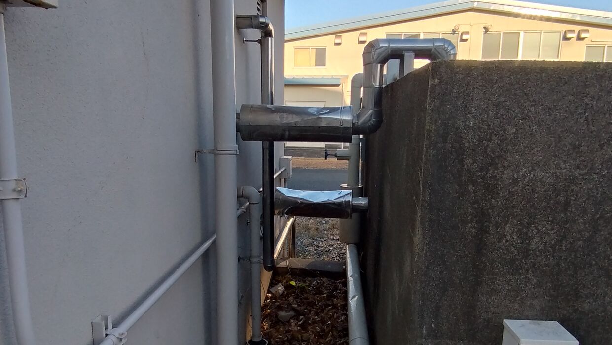 画像2282：静岡県浜松市でスズメバチの巣の撤去作業です。