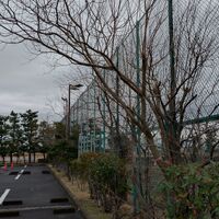 画像2283：静岡県浜松市でスズメバチの巣の撤去作業です。