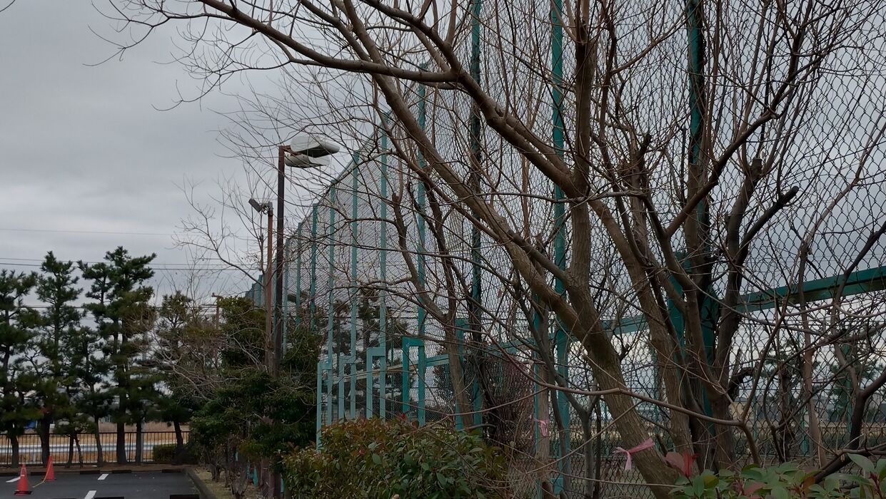 画像2283：静岡県浜松市でスズメバチの巣の撤去作業です。