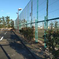 画像2284：静岡県浜松市でスズメバチの巣の撤去作業です。