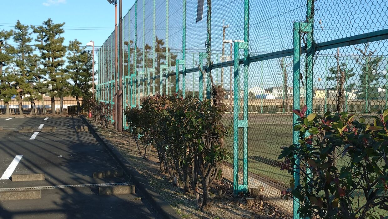 画像2284：静岡県浜松市でスズメバチの巣の撤去作業です。