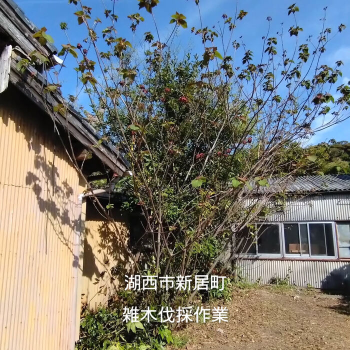 ブログ画像
