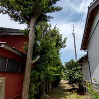 ブログ画像