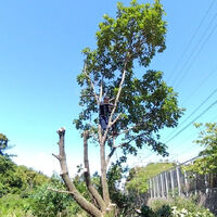 動画サムネイル